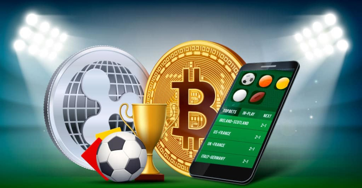 Discover Amazing Free Spin Casino Promotions Updated Daily Discover Amazing Free Spin Casino Promotions Updated Daily
