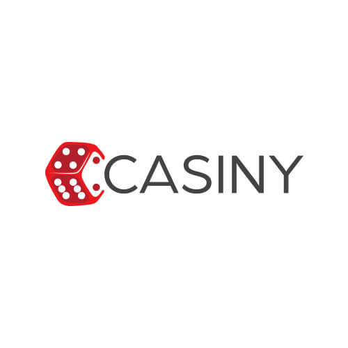 In-Depth Look Casiny Review