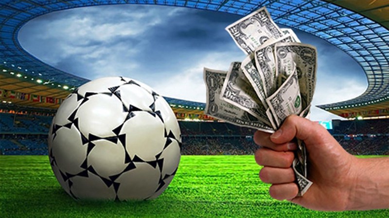 Yoji Casino - Descoperă Lumea Jocurilor de Noroc Online